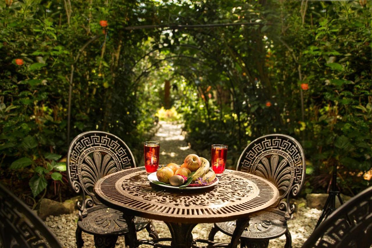 Itchimbia Garden Ayampe Montana Y Mar 빌라 외부 사진