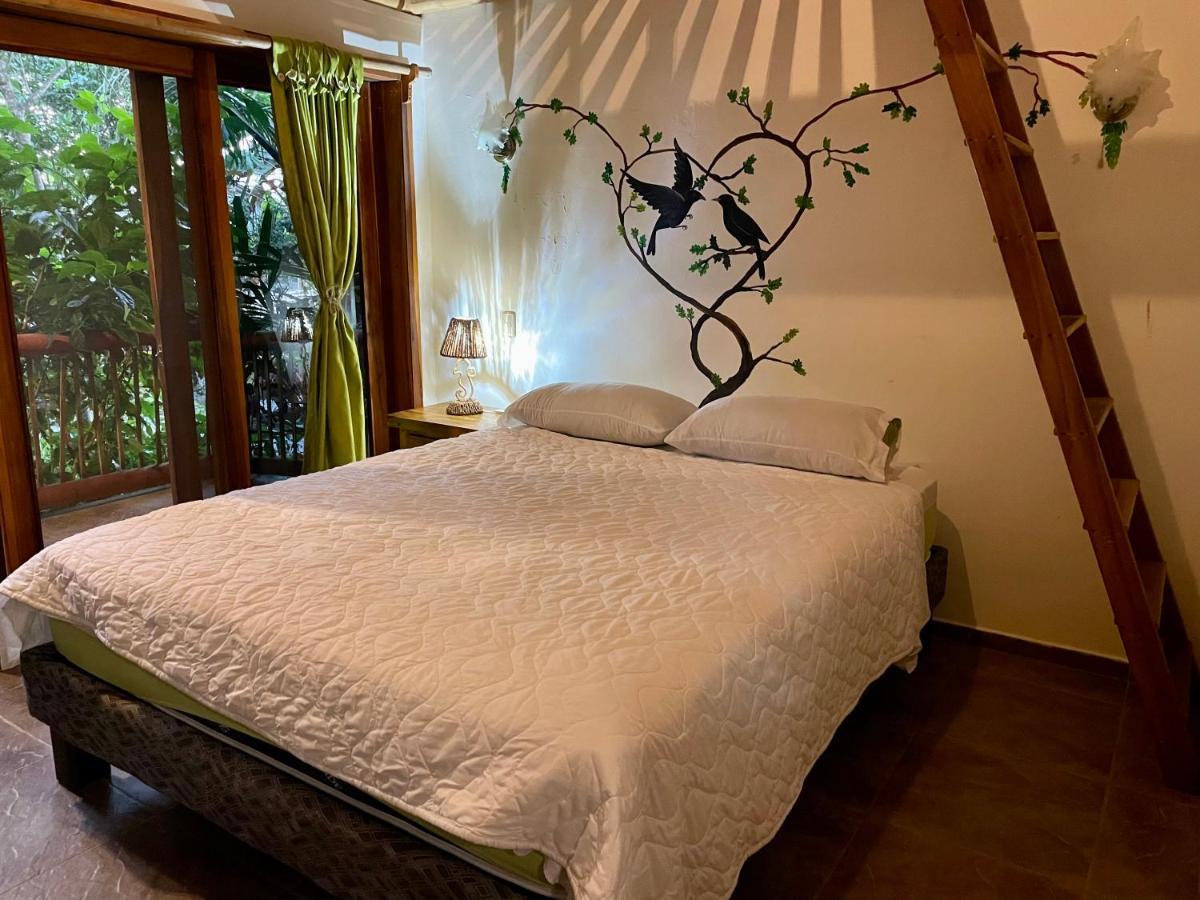 Itchimbia Garden Ayampe Montana Y Mar 빌라 외부 사진